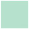 DDDDD Theedoek Logo Pastel Green | 30100