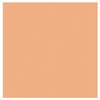 DDDDD Theedoek Logo Pastel Peach | 30101