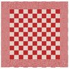 DDDDD Keukendoek Barbeque Red 19427