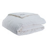 Dreamstar Xclusive 100% Zuivere Witte Ganzendons 4-Seizoenen Dekbed | 23691-23692