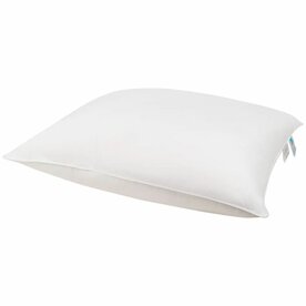 Dreamstar Oregon Hoofdkussen HK-DRST-OREGON | 33508