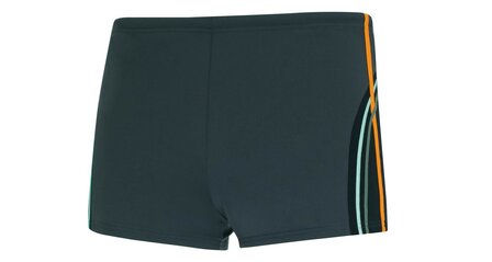 Wavebreaker Chloorbestendig Zwemshort Grey 55101-7 | 29948