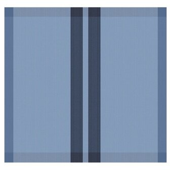 DDDDD Theedoek Baxter Denim 26432