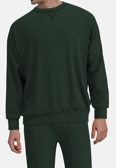 Tom Tailor Heren Shirt Gr&uuml;n 71461-4022-321 | 32187-32188