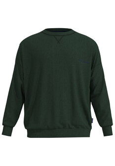 Tom Tailor Heren Shirt Gr&uuml;n 71461-4022-321 | 32187-32188