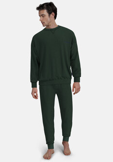 Tom Tailor Heren Shirt Gr&uuml;n 71461-4022-321 | 32187-32188