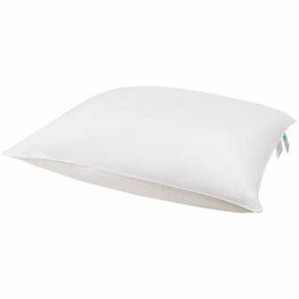Dreamstar Oregon Hoofdkussen HK-DRST-OREGON | 33508