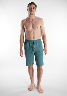 Tom Tailor Heren Short Green 71486-6594-320 | 33388