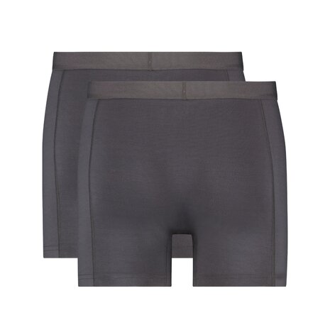 Ten Cate Men Basics Bamboo Viscose Shorts 2-Pack Grey 30859-1476 | 26815