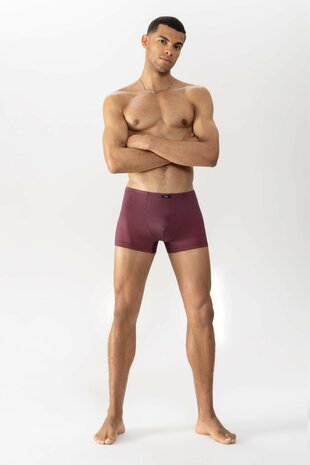Mey Men Shorty Cherry Tomato 37356-567 | 29622