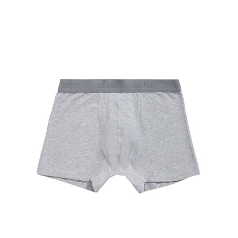 Ten Cate Boys Shorts 2-Pack Light Grey Melee 31987-955 | 24909