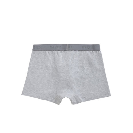 Ten Cate Boys Shorts 2-Pack Light Grey Melee 31987-955 | 24909