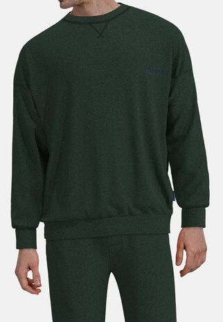 Tom Tailor Heren Shirt Grün 71461-4022-321 | 32187-32188