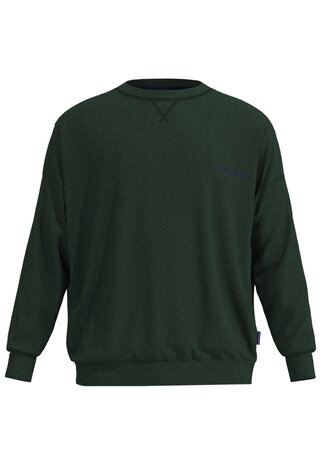 Tom Tailor Heren Shirt Grün 71461-4022-321 | 32187-32188