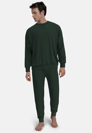 Tom Tailor Heren Shirt Grün 71461-4022-321 | 32187-32188