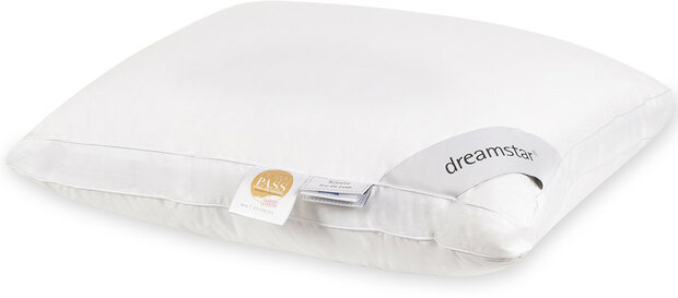Dreamstar Xclusive  ECO De Luxe Hoofdkussen | 23919