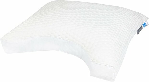 Dreamstar Hoofdkussen Alaska Cool Night 21075