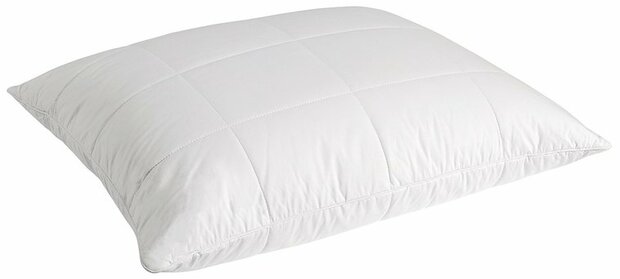 Dreamstar Hoofdkussen Nevada 19420