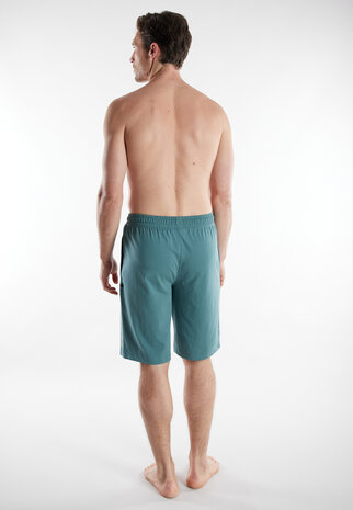 Tom Tailor Heren Short Green 71486-6594-320 | 33388