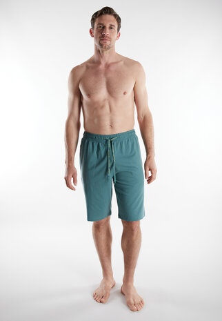 Tom Tailor Heren Short Green 71486-6594-320 | 33388