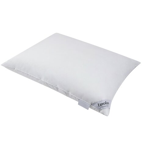 Linolux  Arture Dynamic Hoofdkussen HKLNX ART DYNAMIC | 17149