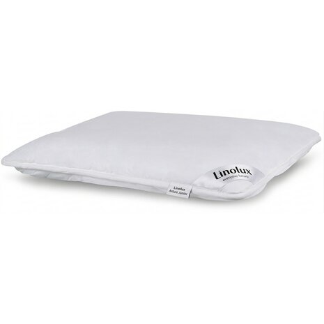 Dreamstar Junior All-In-One Hoofdkussen HK-DRST-Junior | 21438