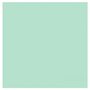 DDDDD Theedoek Logo Pastel Green | 30100