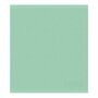 DDDDD Keukendoek Logo Pastel Green | 30100
