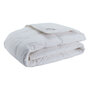 Dreamstar Xclusive 100% Zuivere Witte Ganzendons Winter Dekbed | 23693