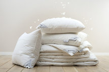 Dreamstar Xclusive 100% Siberische Ganzendons 4-Seizoenen Dekbed
