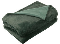 Livello Plaid Nordic Green 21381
