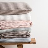 Vandyck Pique Sprei Powder