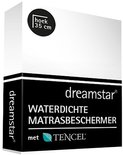 Dreamstar Waterdichte Matrasbeschermer Met Tencel 19679