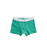 Ten Cate Boys Basic Shorts Green Stripe 31122 | 21563