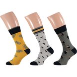 Apollo Heren Sokken 3-Pack Geel / Groen 22908