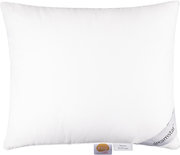 Dreamstar Xclusive ECO De Luxe Hoofdkussen 23919