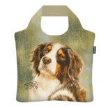 Ecozz Silver Collection Benner Sennen Dog SCBD01 | 21823