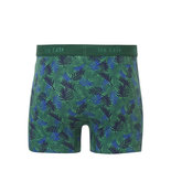 Ten Cate Boys Basic Short Leafs 31963-2276 | 24333