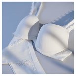 Lisca Beugel BH Gracia Voorgevormd Champagne 20251-20252 | 24013 t/m 24015