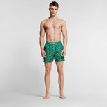 Tweka Men Zwemshort Skip Check Green 10198 | 24555