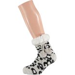 Apollo Dames Softy Homesocks Grey 25465