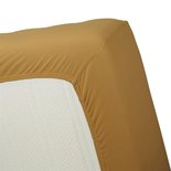 Beddinghouse Jersey Hoeslaken Yellow 24116
