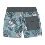 Koko Noko Jongens Chloorbestendig Zwemshort Green V42826-3718 | 26251