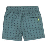 Dutch Jeans Heren Chloorbestendig Zwemshort Green V43409-4517 | 26154