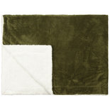Livello Plaid Calvin Olive 26239
