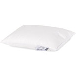 Dreamstar Xclusive 90% Down 25 x 35 Reiskussen 24246