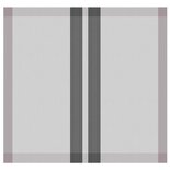 DDDDD Theedoek Baxter Grey 26422