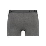 Ten Cate Men Basics Shorty 2-Pack Antraciet Melange 32321 | 26912