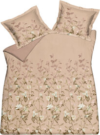 Vandyck Dekbedovertrek Fairy Praliné 24940