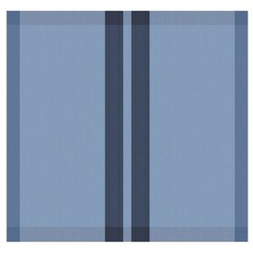 DDDDD Theedoek Baxter Denim 26432